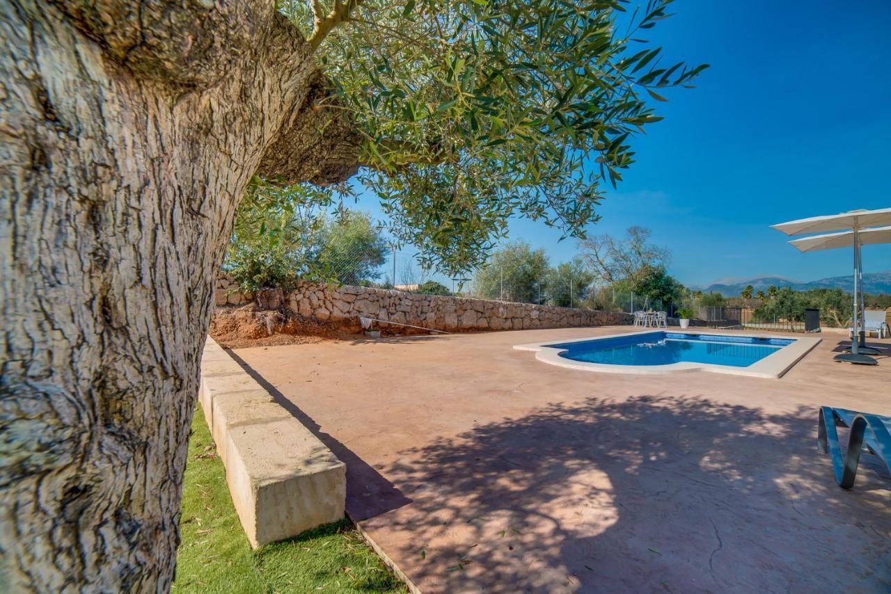 Landhaus Ideal Mallorca - Brivo Sencelles